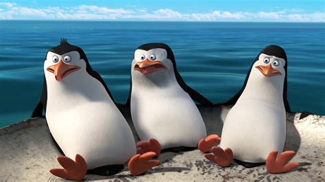 os pinguins de madagascar redecanais